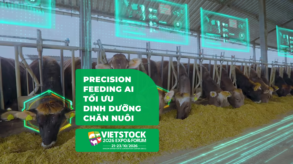 Precision Feeding: Tối ưu chi phí thức ăn chăn nuôi bằng AI