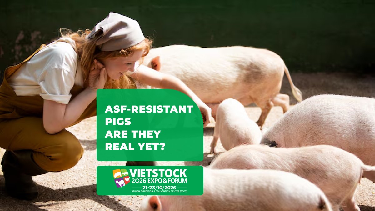 ASF-Resistant Pig Breeds: CRISPR and Genetic Progress 2026