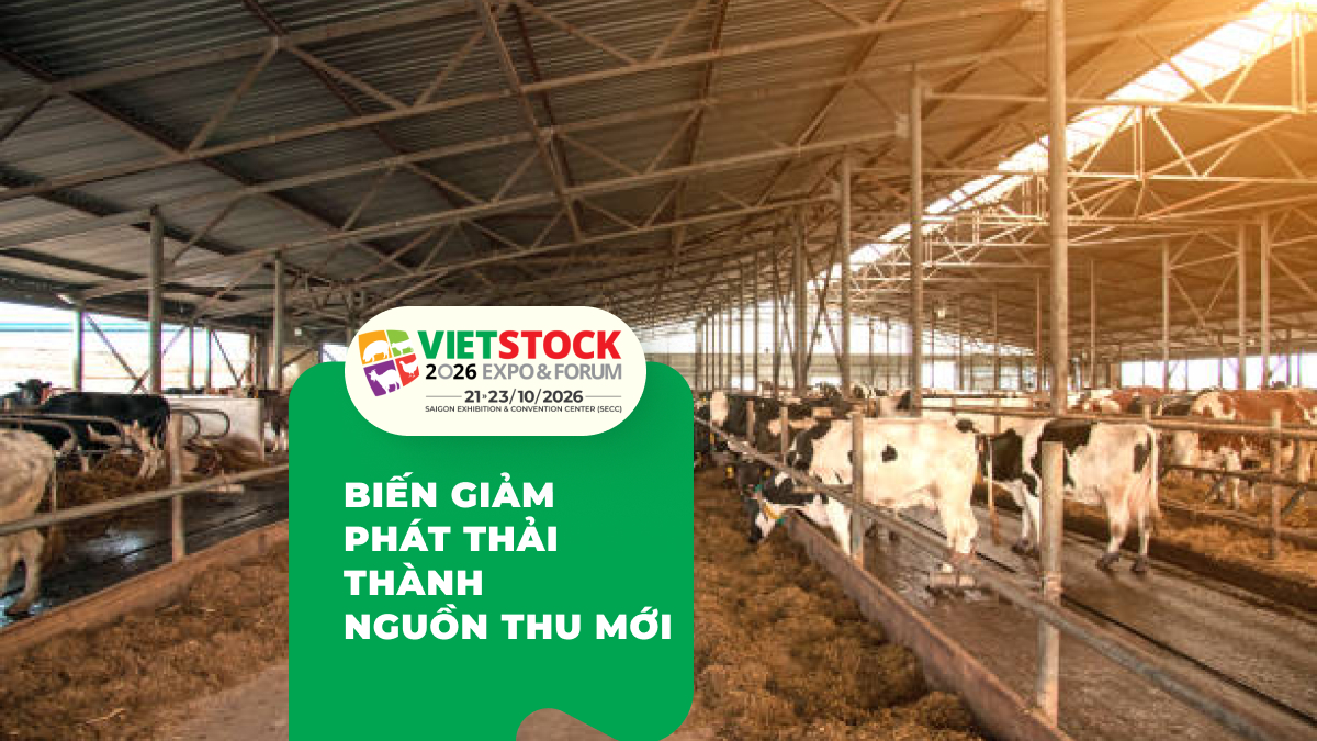 Tín chỉ carbon chăn nuôi: Điều kiện, MRV và giá tham khảo 2026