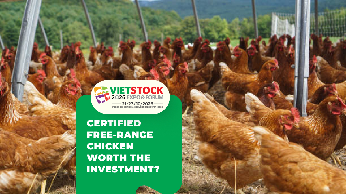 Free-Range Chicken Certification: Requirements, Costs & Market