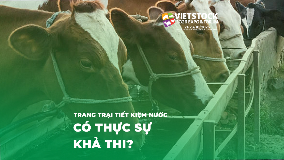 Quản lý nước trang trại chăn nuôi: Thu hồi, tái sử dụng và giảm xả thải