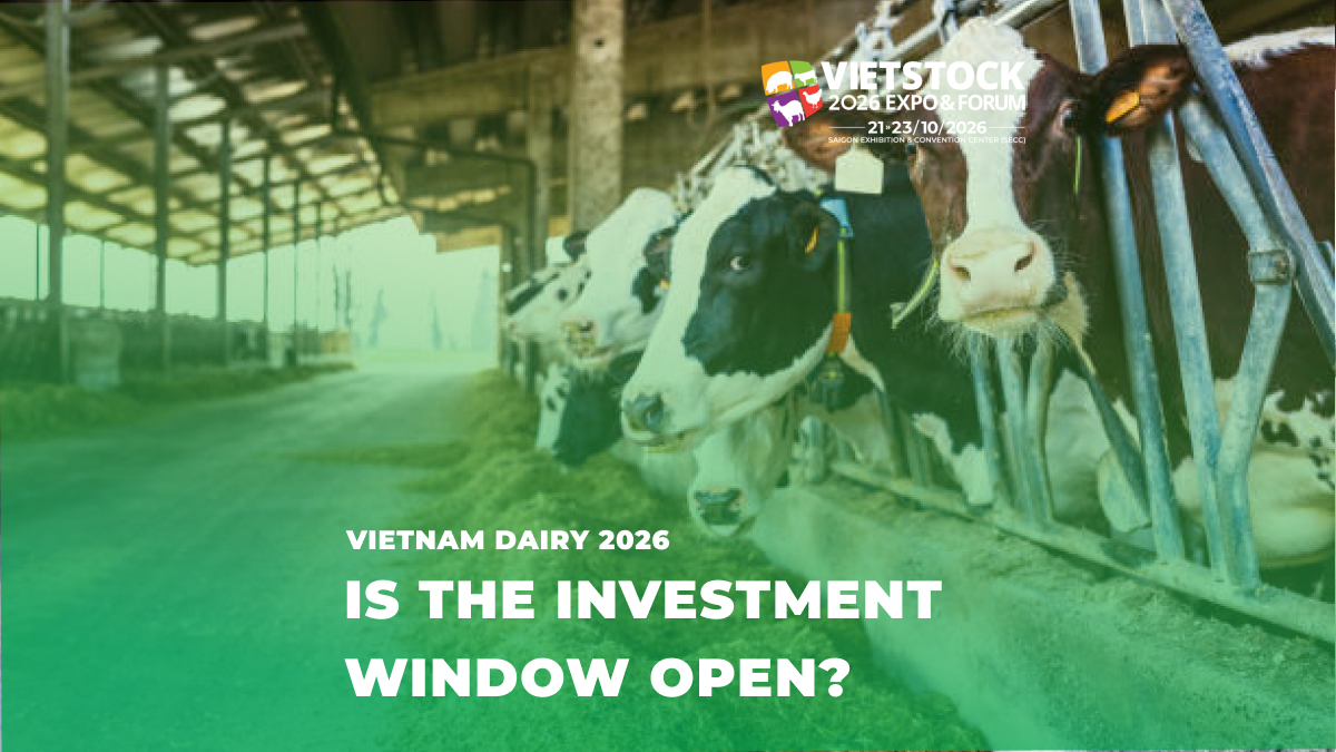 Vietnam Dairy Industry 2026: Fresh Milk & Investment Outlook
