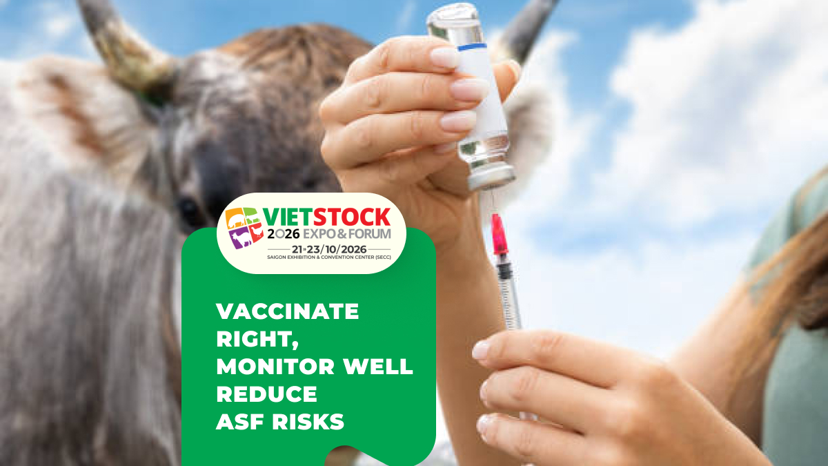 Domestic ASF Vaccine: Effectiveness and Proper Use