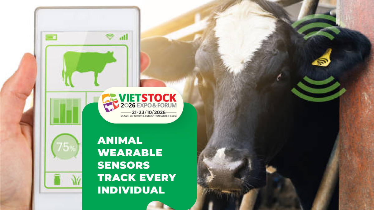 Wearable Sensors for Livestock: Tracking Individual Animal Health