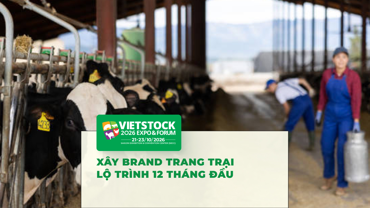 Xây Dựng Thương Hiệu Trang Trại: Chiến Lược 12 Tháng