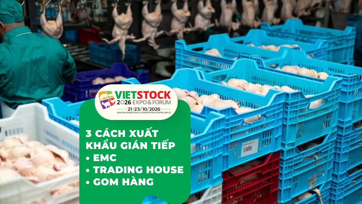Xuất khẩu Sản phẩm Chăn nuôi Cho Doanh nghiệp Nhỏ_ Gián tiếp Qua EMC & Trading House