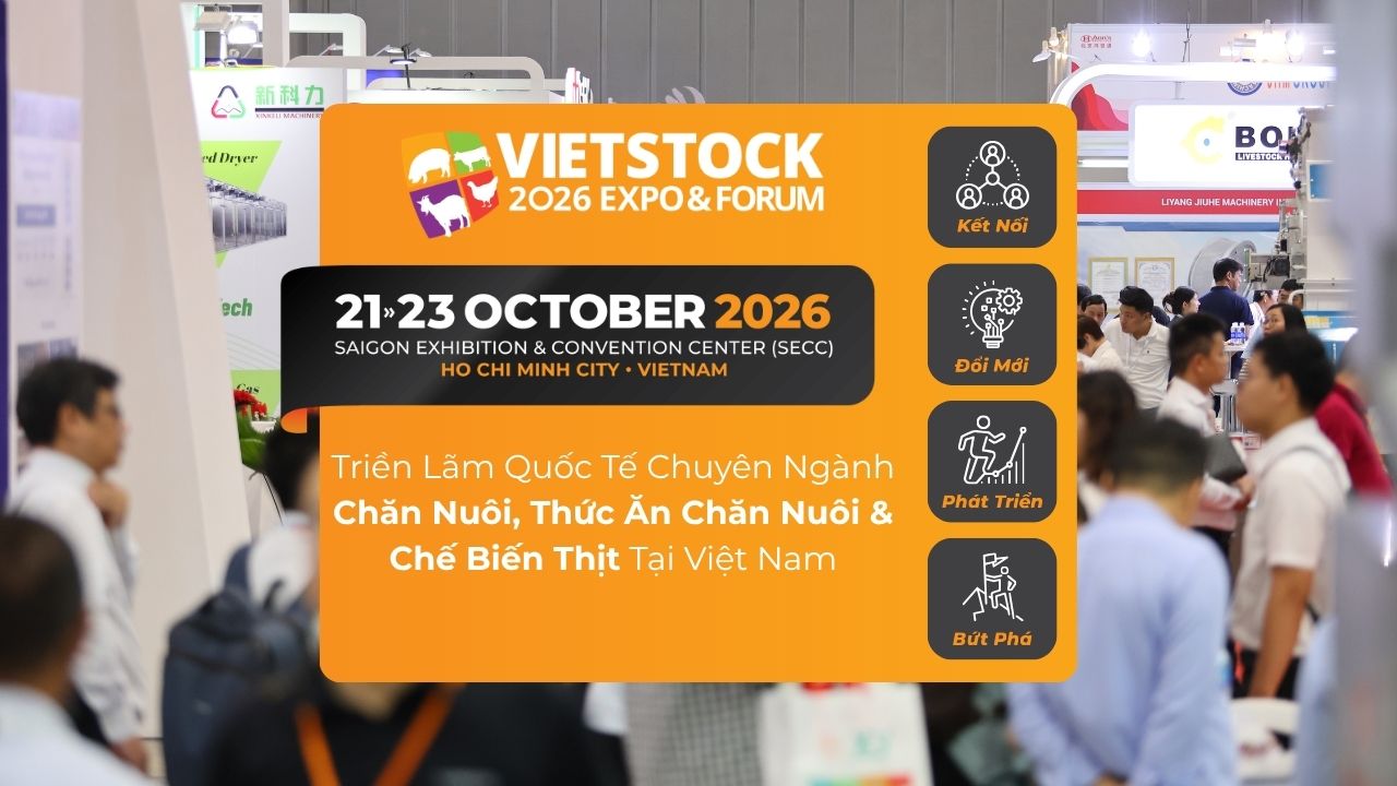 Enhance Brand Awareness and Drive Business Growth with Vietstock