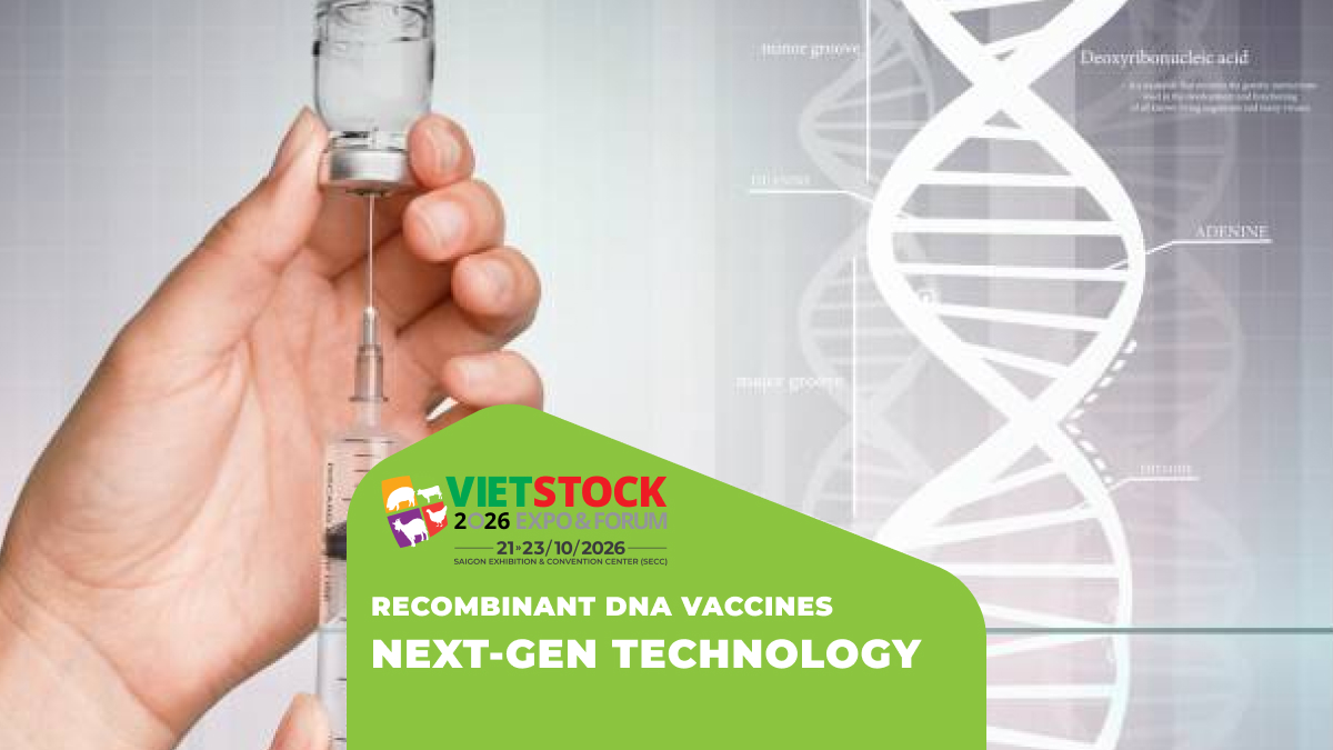 Recombinant DNA Vaccines in Veterinary Medicine in 2026: Technology, Advantages, Limitations, and Prospects for Application