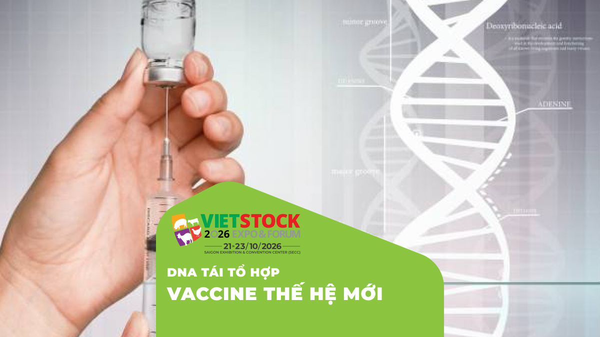 Vaccine DNA Tái Tổ Hợp Trong Thú Y 2026: Công Nghệ, Ưu Nhược Điểm và Triển Vọng Ứng Dụng