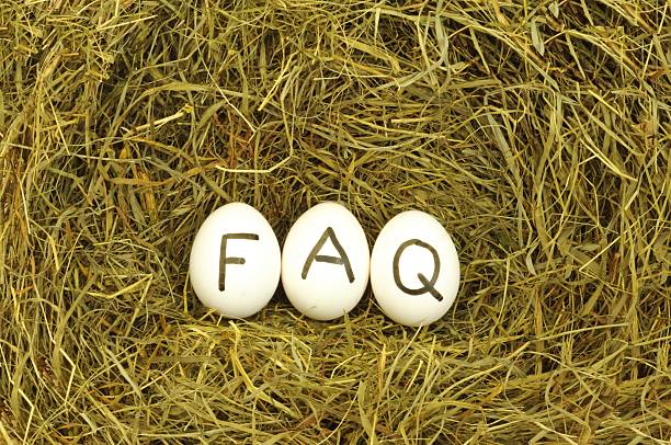 Câu hỏi thường gặp về thuốc phòng bệnh cho gà con mới nở