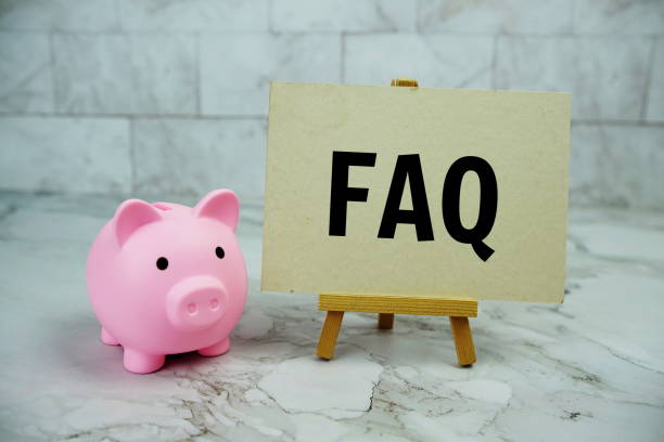 Mô hình heo và bảng FAQ minh họa câu hỏi về bệnh lở mồm long móng ở heo