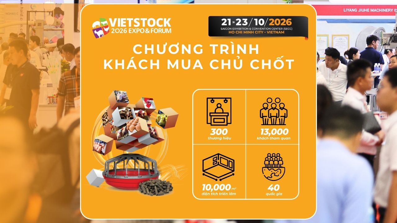 Chương Trình Khách Mua Chủ Chốt Vietstock 2026 – Kết Nối Ngành Chăn Nuôi Và Thú Y Việt Nam Và Đông Nam Á