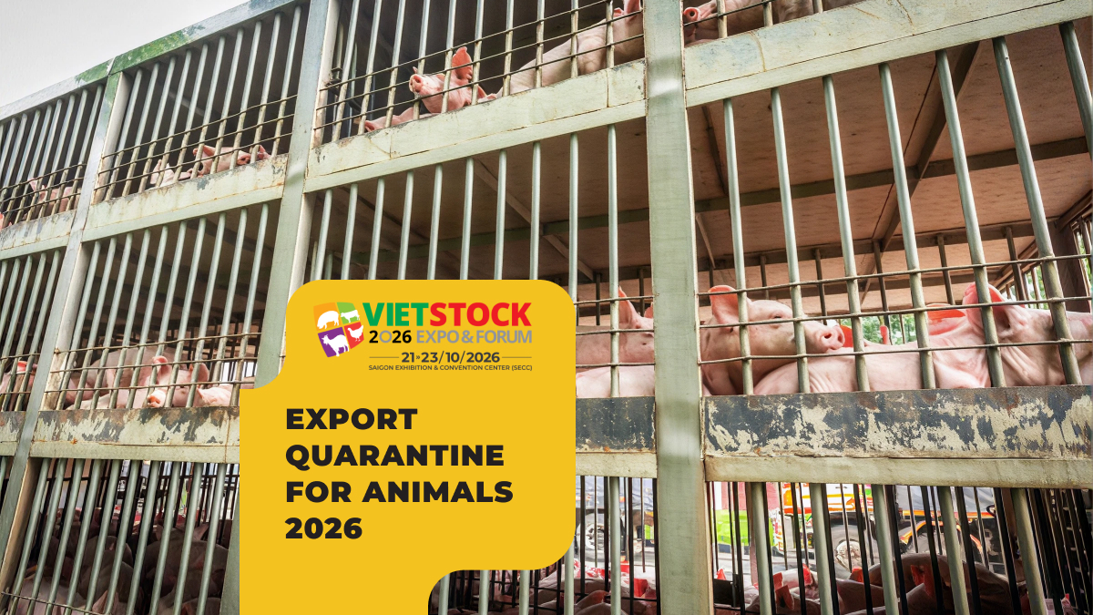 Export Quarantine for Animals and Animal Products 2026: Documents, Certificates, and Step-by-Step Procedures