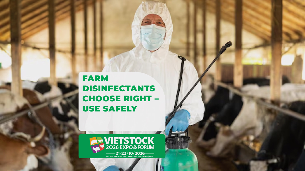 Farm Disinfectants for Livestock Housing: Active Ingredient Groups, Selection Criteria, and Safety Notes