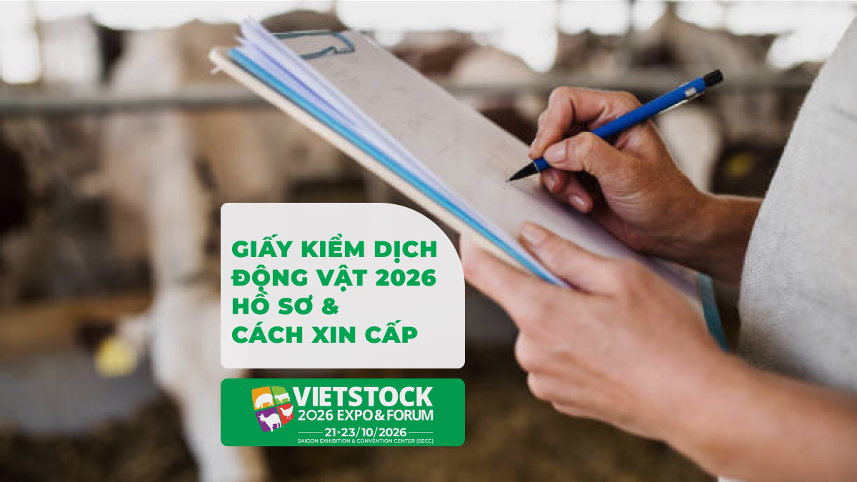 Người chăn nuôi ghi chép thông tin đàn vật nuôi để chuẩn bị hồ sơ kiểm dịch động vật