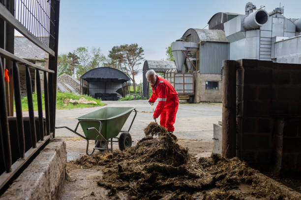 Worker removing manure from an empty livestock housing area