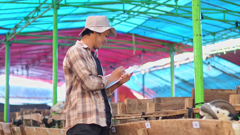 Farm worker reviewing a livestock housing hygiene checklist