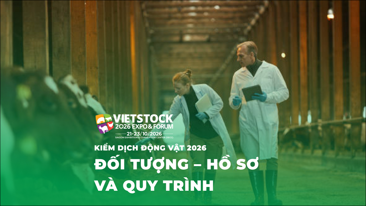 Cán bộ thú y kiểm tra đàn heo tại trang trại trong quy trình kiểm dịch động vật năm 2026