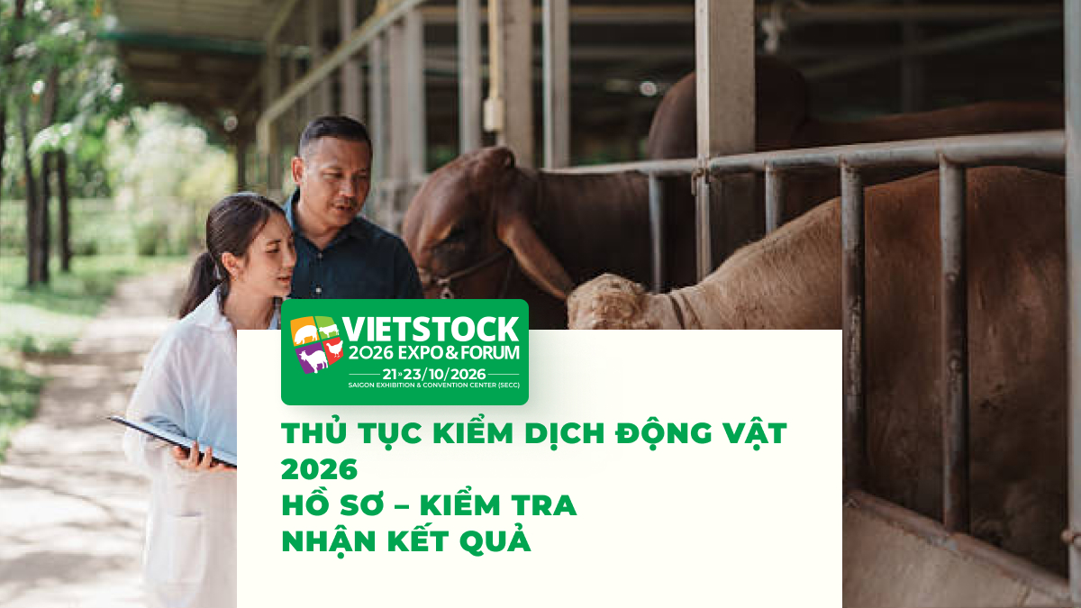 Thủ tục kiểm dịch động vật 2026 gồm chuẩn bị hồ sơ, kiểm tra và nhận kết quả