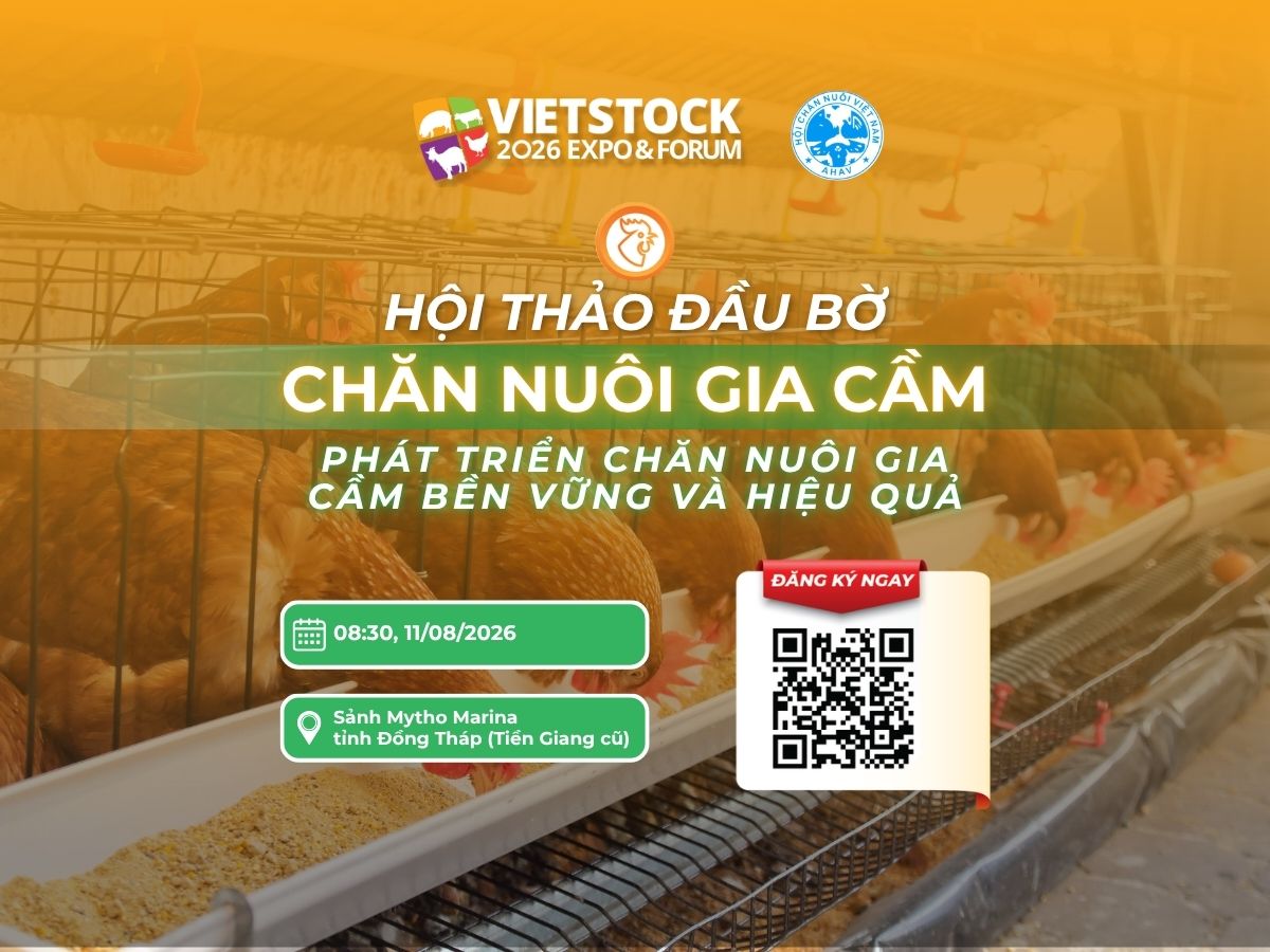 HỘI THẢO CHĂN NUÔI GIA CẦM TẠI ĐỒNG THÁP