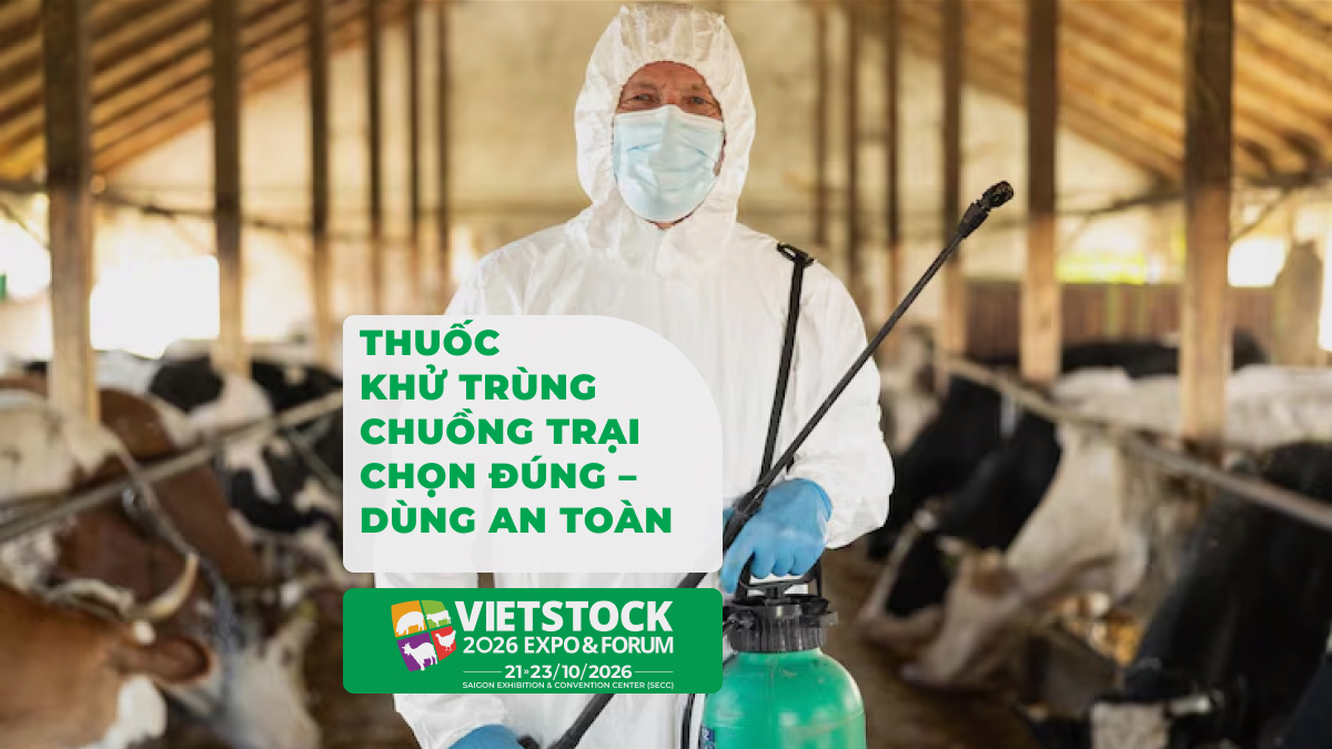 Thuốc khử trùng chuồng trại và hướng dẫn lựa chọn, sử dụng an toàn
