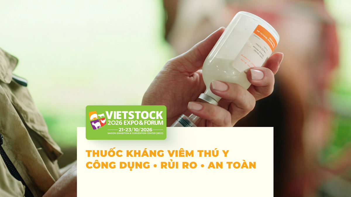 Các loại thuốc kháng viêm thú y và lưu ý khi sử dụng cho vật nuôi