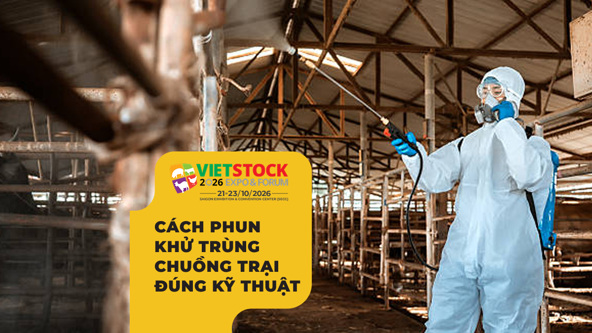Nhân viên mặc đồ bảo hộ phun khử trùng bên trong chuồng trại chăn nuôi