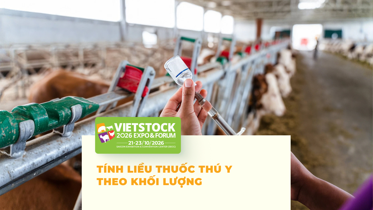 Cách Tính Liều Thuốc Trong Thú Y: Nguyên Tắc Theo Khối Lượng và Lưu Ý An Toàn