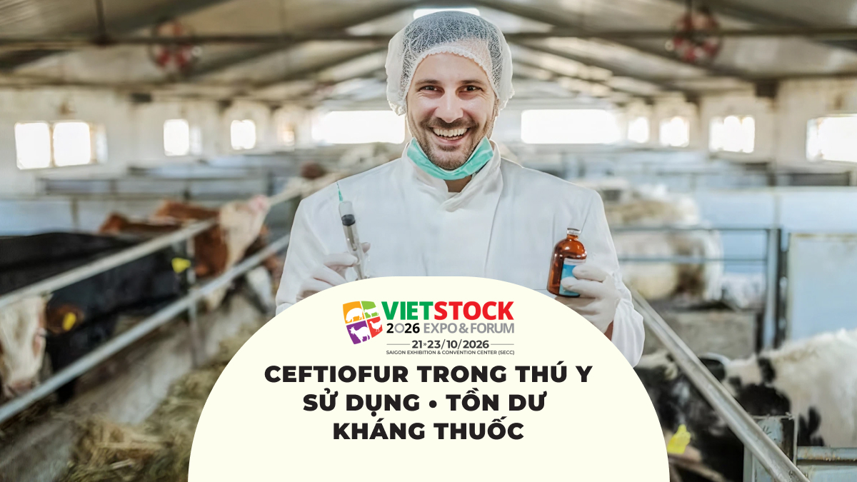 Bác sĩ thú y cầm thuốc tại trang trại, minh họa sử dụng ceftiofur trong thú y