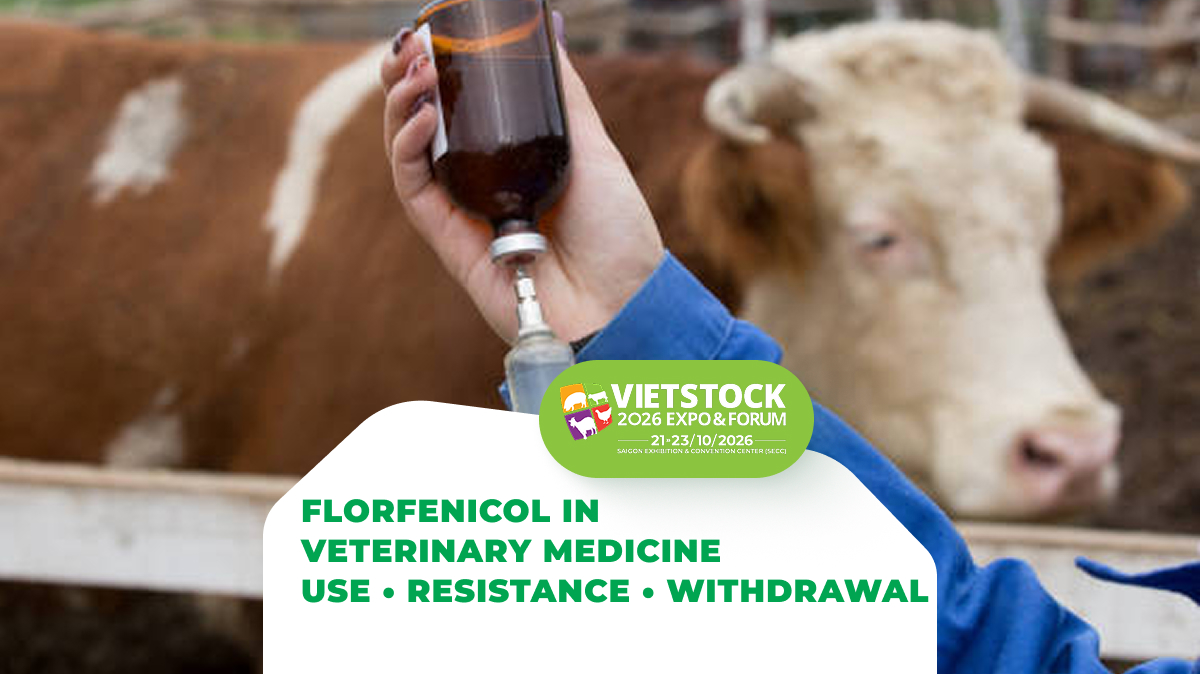 Florfenicol in Veterinary Medicine: Uses, Principles of Responsible Use, and Safety Considerations