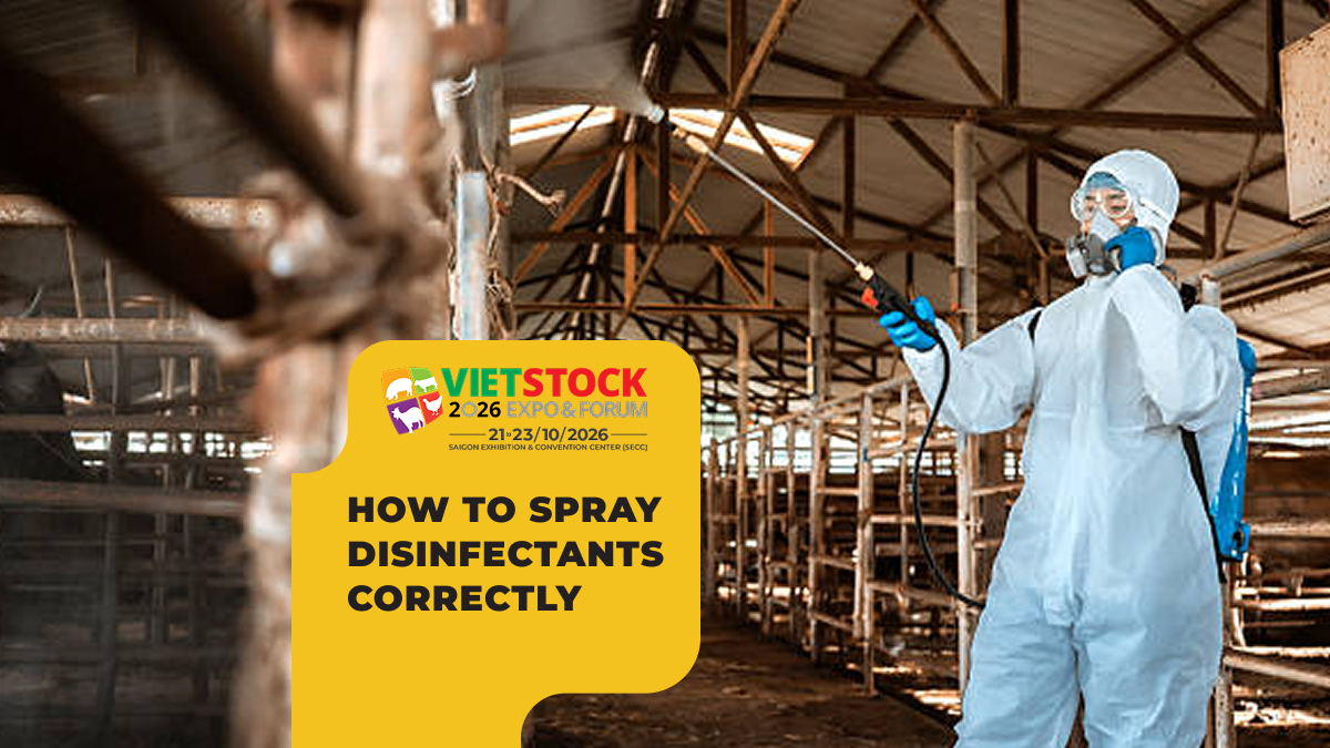 How to Spray Disinfectants in Livestock Housing: Procedure, Frequency, and Safety Notes