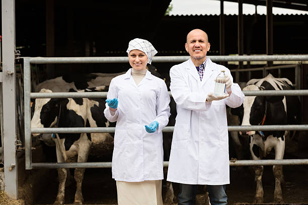 Veterinarians examining veterinary medicines at a cattle farm, illustrating enrofloxacin use in veterinary medicine