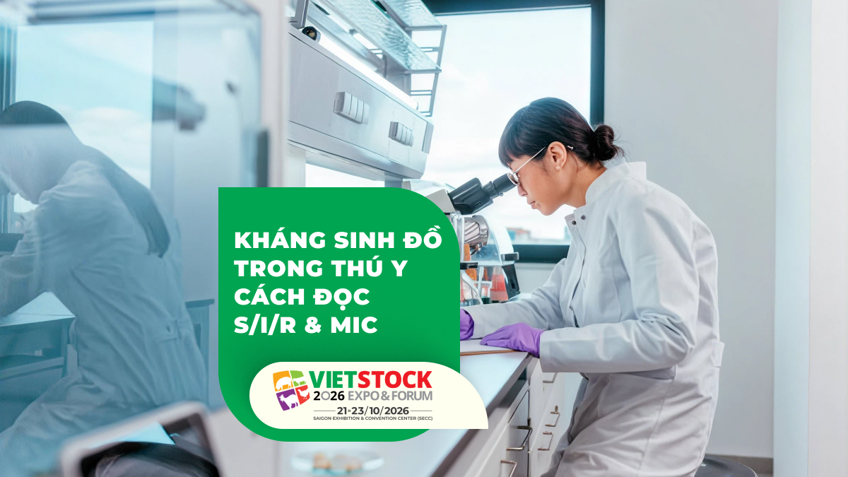 Kỹ thuật viên phòng xét nghiệm sử dụng kính hiển vi, minh họa kháng sinh đồ trong thú y