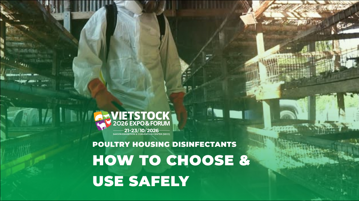 Worker wearing protective clothing inside a poultry housing facility during biosecurity cleaning