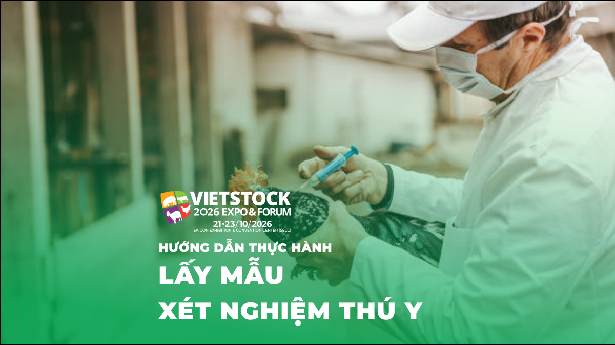 Kỹ thuật viên xử lý mẫu xét nghiệm thú y trong phòng thí nghiệm