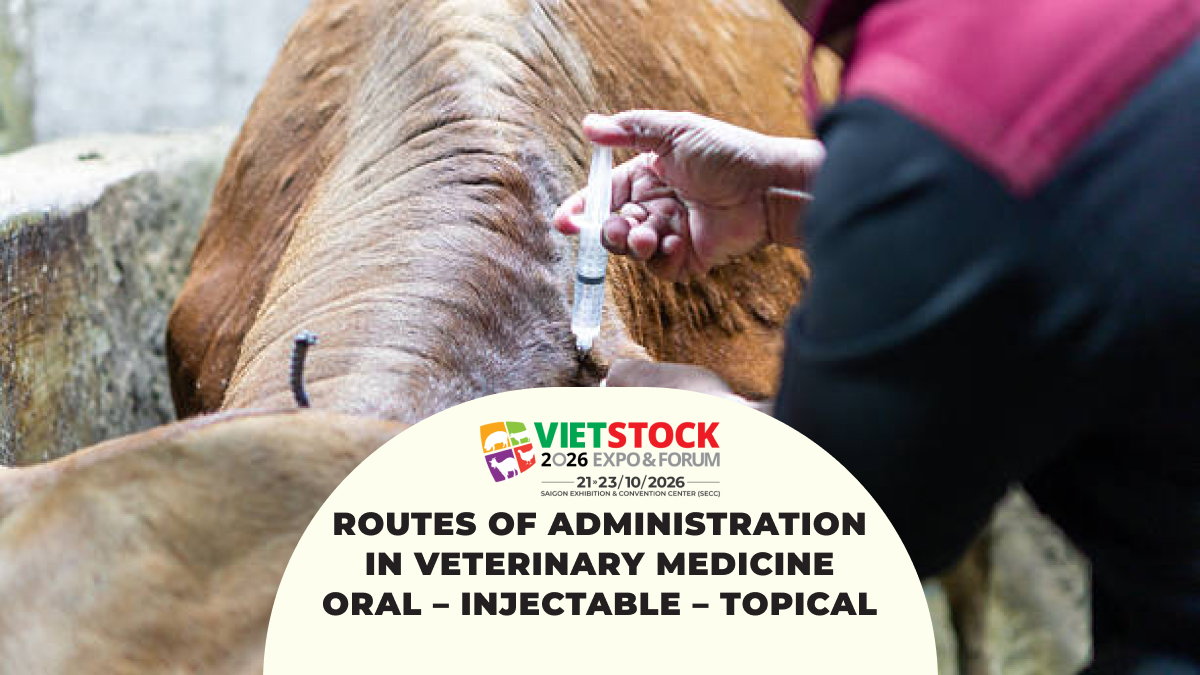 Routes of Administration in Veterinary Medicine: Oral, Injectable, Topical, and How to Choose