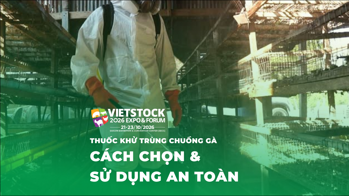 Nhân viên vệ sinh và khử trùng chuồng trại gà trong khu chăn nuôi gia cầm