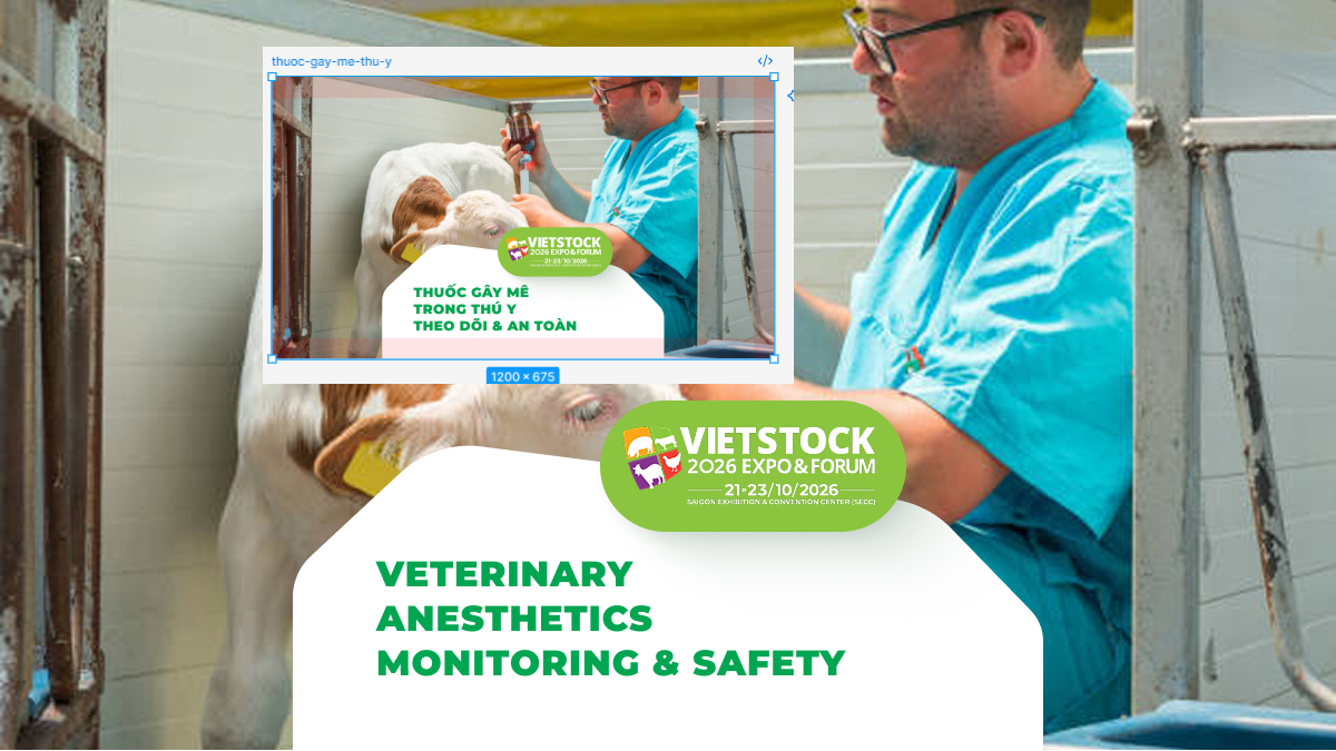 Veterinary Anesthetics: Common Drug Groups, Monitoring, and Safety Considerations