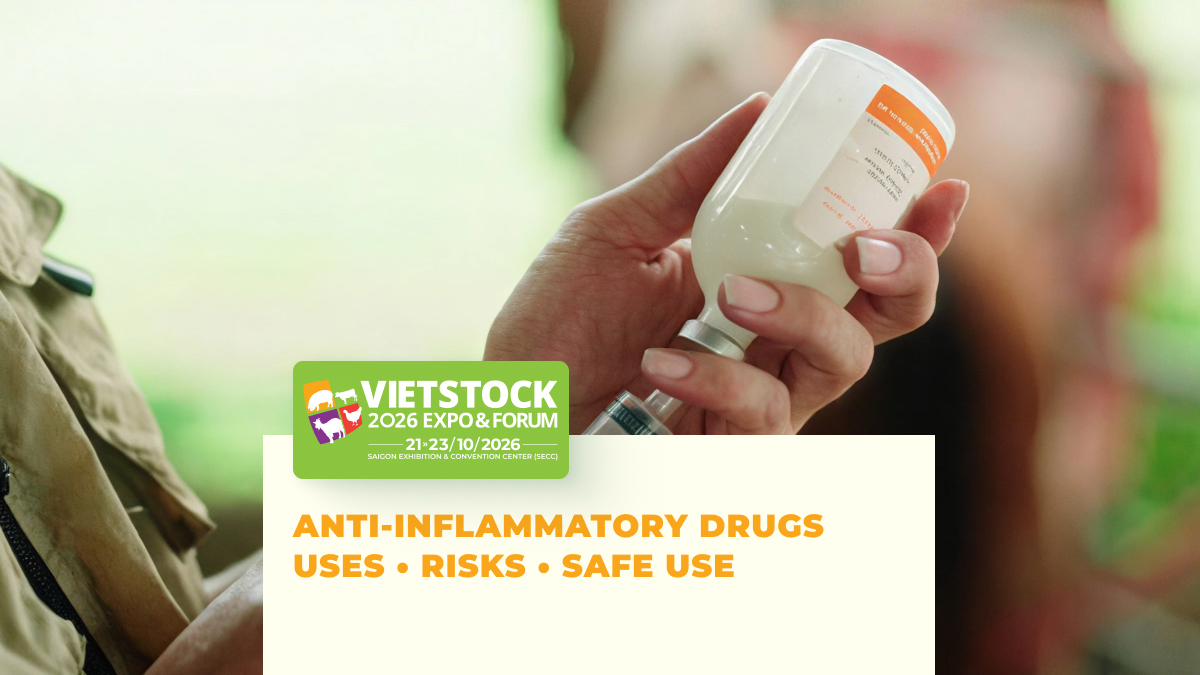 Veterinary Anti-Inflammatory Drugs: Classification, Supportive Roles, and Risks of Misuse