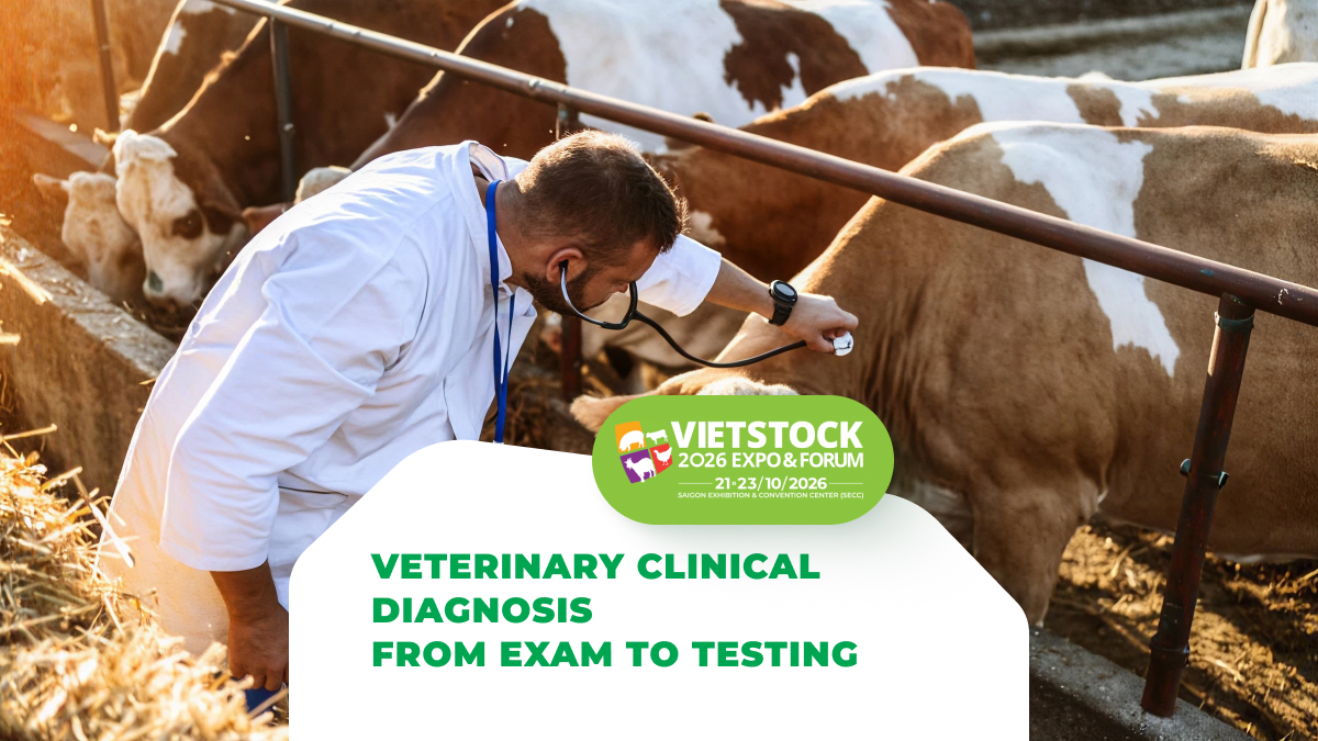 Veterinary Clinical Diagnosis: Examination Process, Clinical Sign Assessment, and When Testing Is Needed