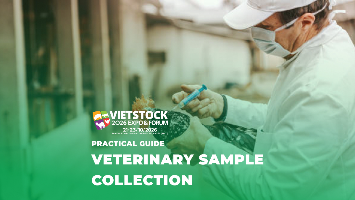 Veterinary Sample Collection Procedure: Sample Types, Tools, and Practical Notes