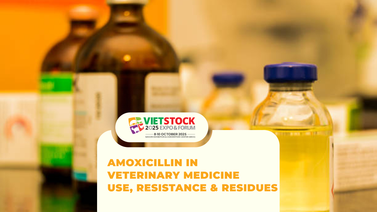 Veterinary amoxicillin medicine illustrating responsible antibiotic use in livestock