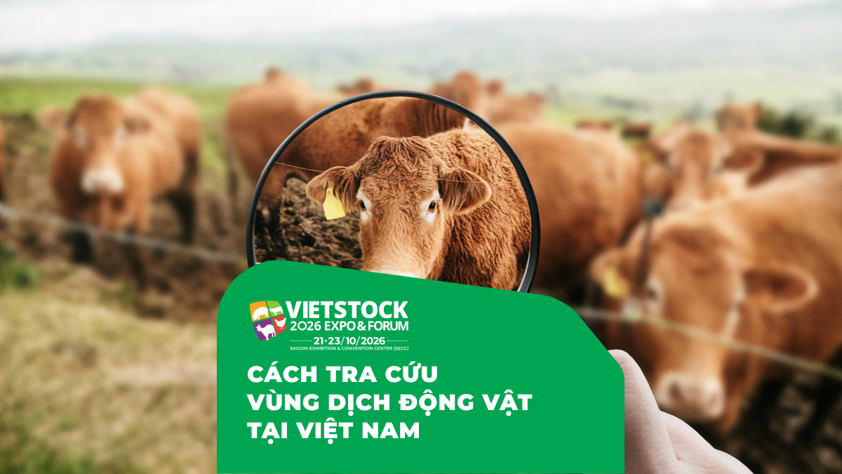 Hướng dẫn cách tra cứu vùng dịch động vật tại Việt Nam từ các nguồn thông tin chính thức
