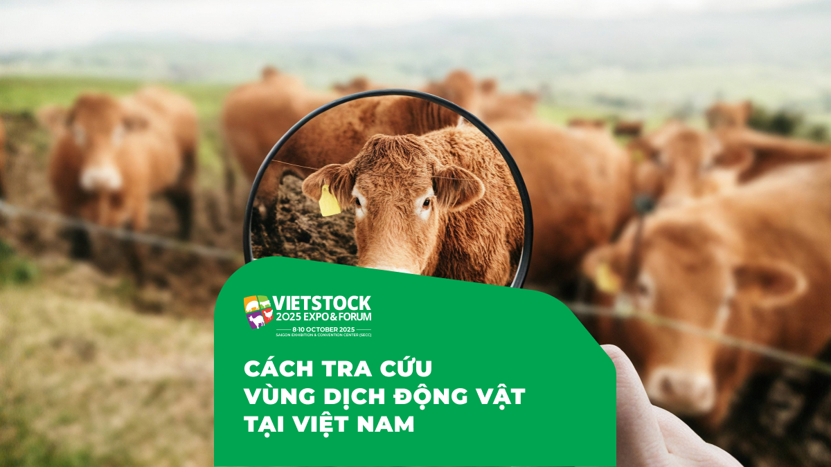 Cách Tra Cứu Vùng Dịch Động Vật: Nguồn Chính Thức Và Cách Đọc Thông Tin
