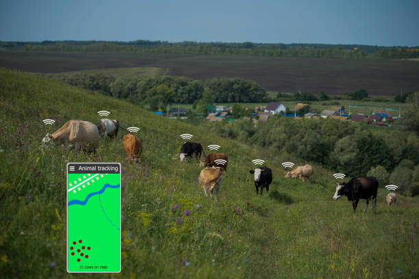 Digital livestock tracking technology supporting checks of animal disease outbreak areas by location.