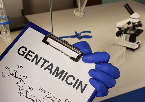 Mẫu gentamicin được nghiên cứu trong phòng thí nghiệm