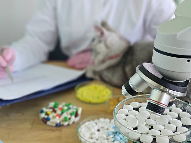 Kính hiển vi và các dạng thuốc minh họa nghiên cứu kháng sinh trong thú y