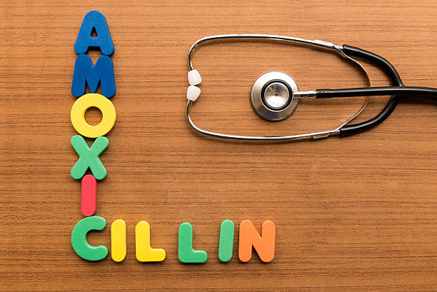 Chữ Amoxicillin và ống nghe minh họa các câu hỏi thường gặp về kháng sinh thú y