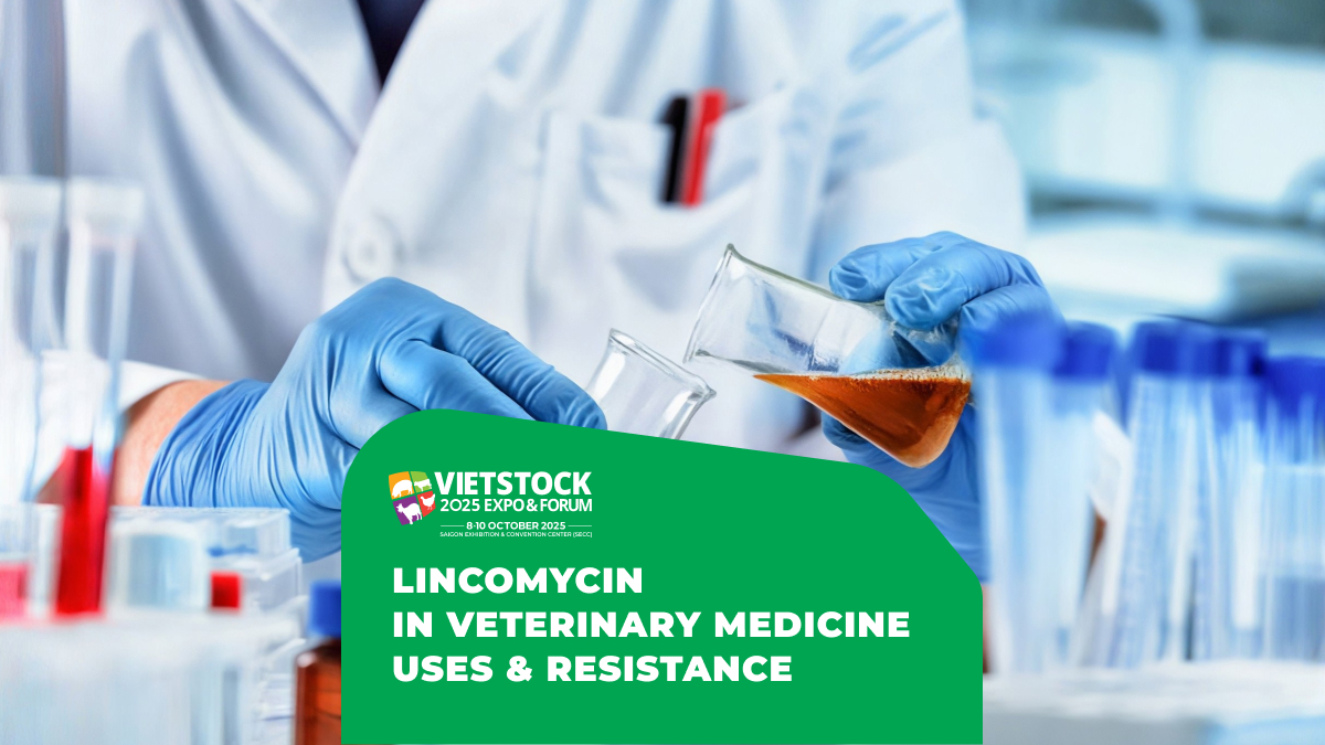 Lincomycin in Veterinary Medicine: Characteristics, Scope of Use, and Antimicrobial Resistance Considerations