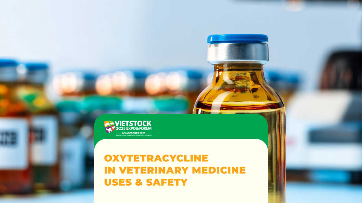 Oxytetracycline in Veterinary Medicine: Characteristics, Scope of Use, and Safety Considerations